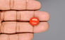 Italian Red Coral - 9.94 Carat Limited Quality CC-5944