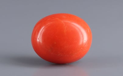Italian Red Coral - 9.94 Carat Limited Quality CC-5944