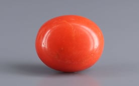 Italian Red Coral - 9.94 Carat Limited Quality CC-5944