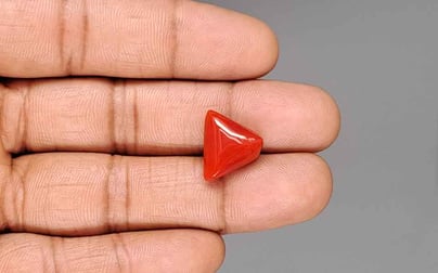 Italian Red Coral - 9.97 Carat Prime Quality TC-5457