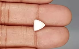 Italian White Coral - 1.97 Carat Limited Quality TWC-22041