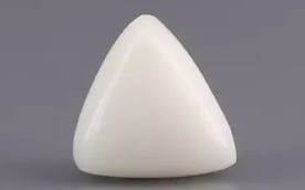 Italian White Coral - 1.97 Carat Limited Quality TWC-22041