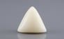 Italian White Coral - 10.30 Carat Rare Quality TWC-22103