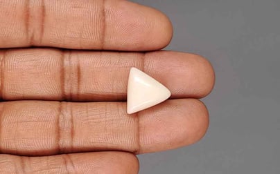 Italian White Coral - 10.30 Carat Rare Quality TWC-22103