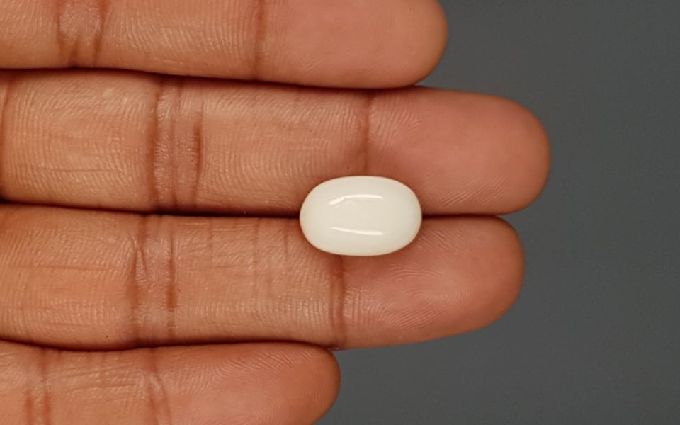 Italian White Coral - 10.31 Carat Prime Quality WC-7622