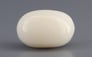 Italian White Coral - 10.31 Carat Prime Quality WC-7622