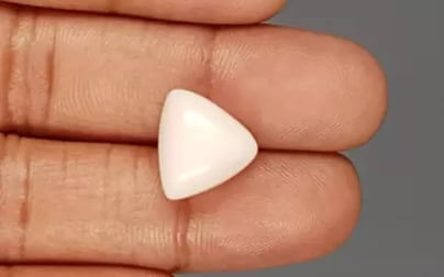 Italian White Coral - 10.46 Carat Limited Quality TWC-22050