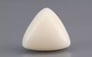 Italian White Coral - 10.46 Carat Limited Quality TWC-22050