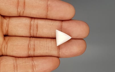 Italian White Coral - 10.64 Carat Rare Quality TWC-22038