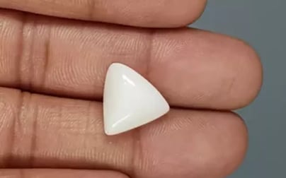 Italian White Coral - 10.82 Carat Limited Quality TWC-22086