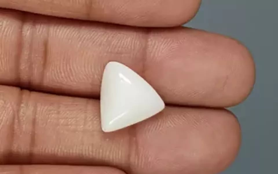 Italian White Coral - 10.82 Carat Limited Quality TWC-22086