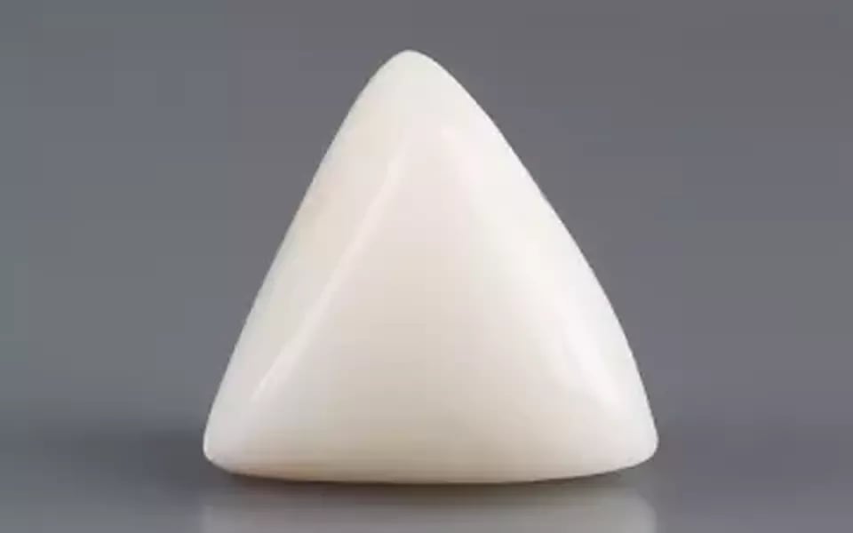 Italian White Coral - 10.82 Carat Limited Quality TWC-22086