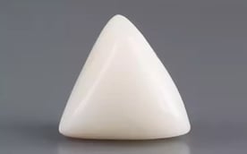 Italian White Coral - 10.82 Carat Limited Quality TWC-22086