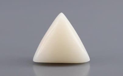 Italian White Coral - 10.90 Carat Rare Quality TWC-22106