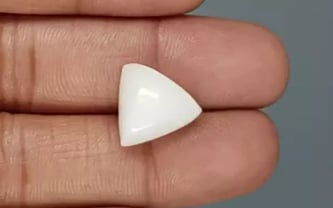 Italian White Coral - 10.97 Carat Limited Quality TWC-22092