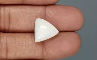 Italian White Coral - 10.97 Carat Limited Quality TWC-22092