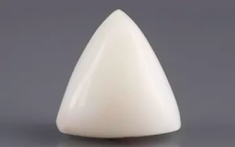 Italian White Coral - 10.97 Carat Limited Quality TWC-22092