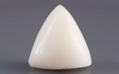 Italian White Coral - 10.97 Carat Limited Quality TWC-22092
