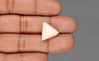 Italian White Coral - 11.04 Carat Rare Quality TWC-22102