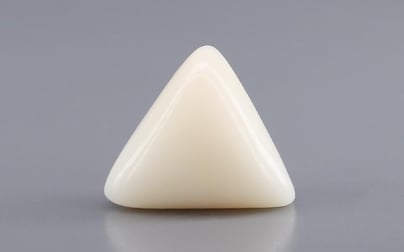 Italian White Coral - 11.08 Carat Rare Quality TWC-22104