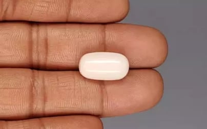 Italian White Coral - 11.11 Carat Limited Quality WC-7634