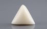 Italian White Coral - 11.14 Carat Rare Quality TWC-22105