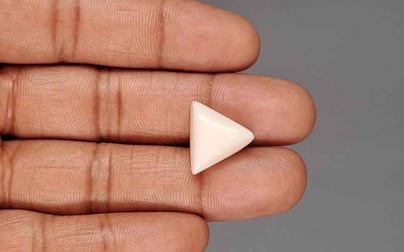 Italian White Coral - 11.14 Carat Rare Quality TWC-22105