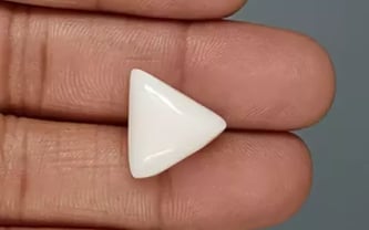 Italian White Coral - 11.45 Carat Limited Quality TWC-22098