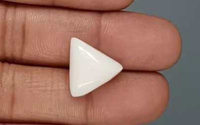 Italian White Coral - 11.45 Carat Limited Quality TWC-22098