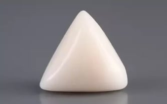 Italian White Coral - 11.45 Carat Limited Quality TWC-22098