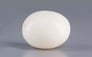 Italian White Coral - 11.53 Carat Limited Quality WC-7628