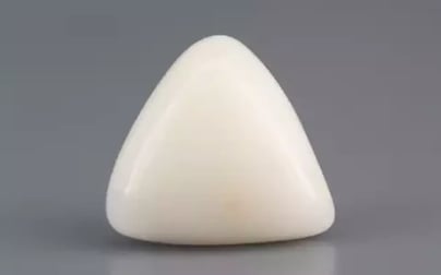 Italian White Coral - 11.55 Carat Limited Quality TWC-22049