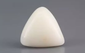 Italian White Coral - 11.55 Carat Limited Quality TWC-22049