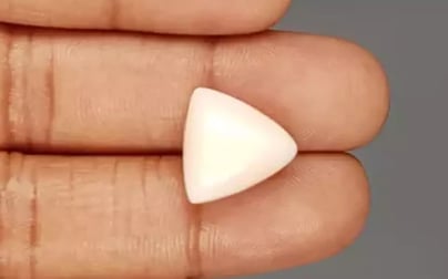 Italian White Coral - 11.93 Carat Limited Quality TWC-22062