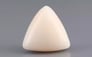 Italian White Coral - 11.93 Carat Limited Quality TWC-22062