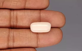 Italian White Coral - 11.96 Carat Limited Quality WC-7636