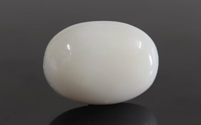  Italian White Coral - 12.06 Carat Prime Quality WC-7579