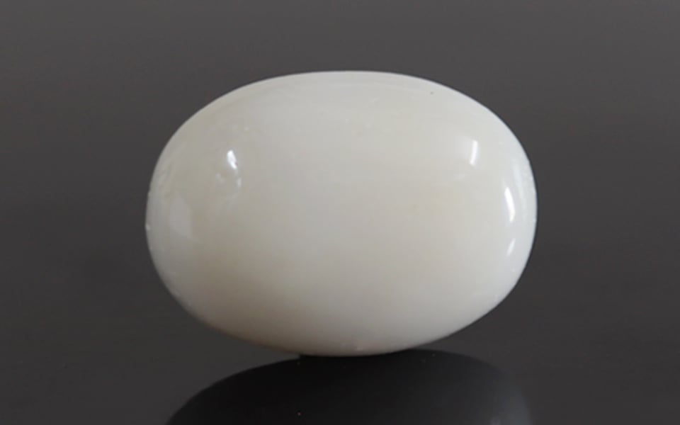  Italian White Coral - 12.06 Carat Prime Quality WC-7579