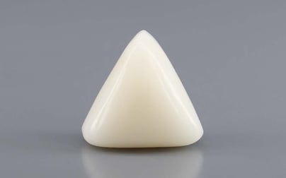 Italian White Coral - 12.23 Carat Rare Quality TWC-22099