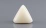 Italian White Coral - 12.23 Carat Rare Quality TWC-22099
