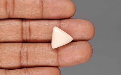 Italian White Coral - 12.23 Carat Rare Quality TWC-22099