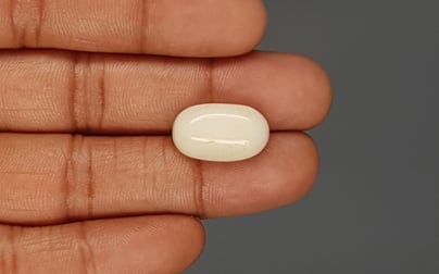 Italian White Coral - 12.42 Carat Prime Quality WC-7620