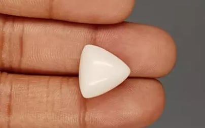 Italian White Coral - 12.76 Carat Limited Quality TWC-22069