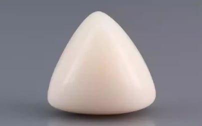 Italian White Coral - 12.76 Carat Limited Quality TWC-22069