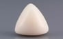 Italian White Coral - 12.76 Carat Limited Quality TWC-22069