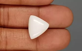 Italian White Coral - 12.87 Carat Limited Quality TWC-22087