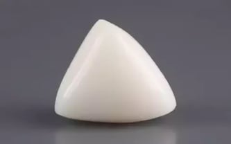 Italian White Coral - 12.87 Carat Limited Quality TWC-22087