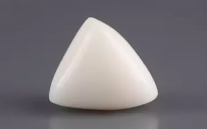 Italian White Coral - 12.87 Carat Limited Quality TWC-22087