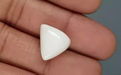 Italian White Coral - 12.88 Carat Limited Quality TWC-22089