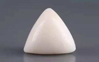 Italian White Coral - 12.88 Carat Limited Quality TWC-22089